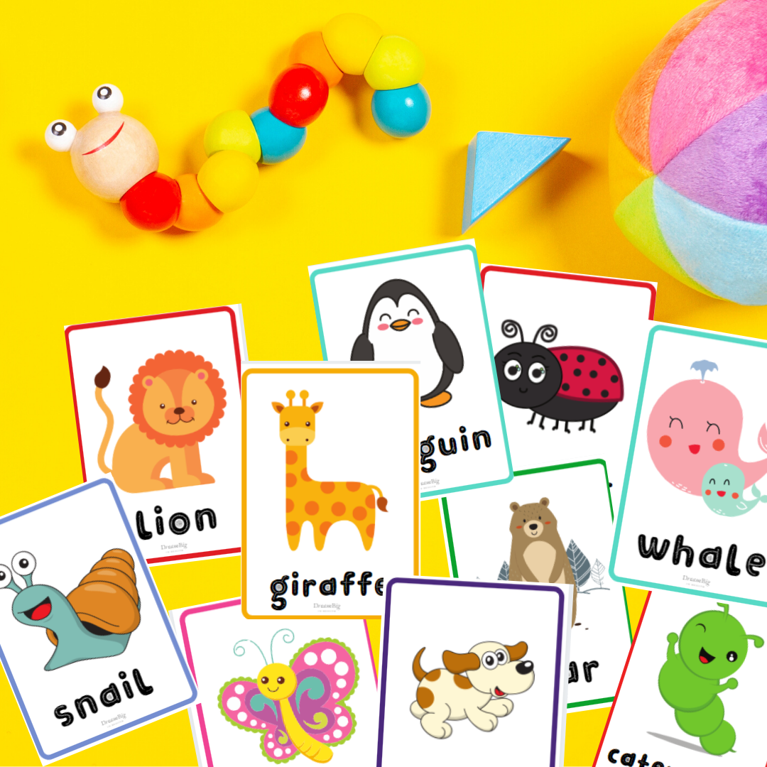 Aprendemos los animales